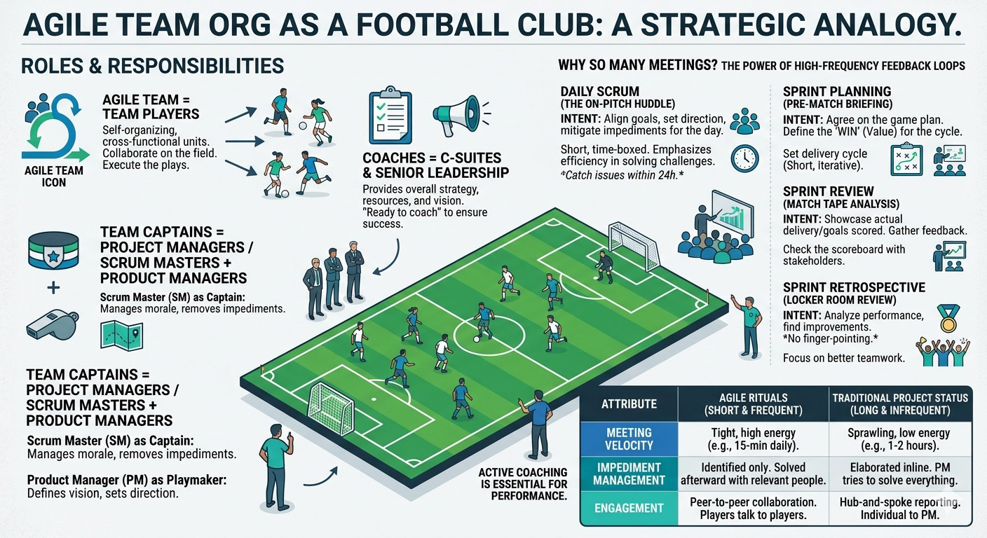 'Infographic showing Agile team roles mapped to a football club — players, Scrum Master, Product Owner, coaching staff and board
